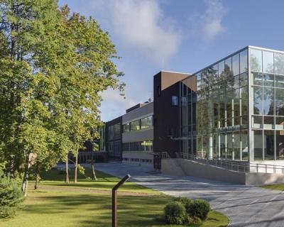 7 лет успеха Verba Mayr: технологии лидерства 